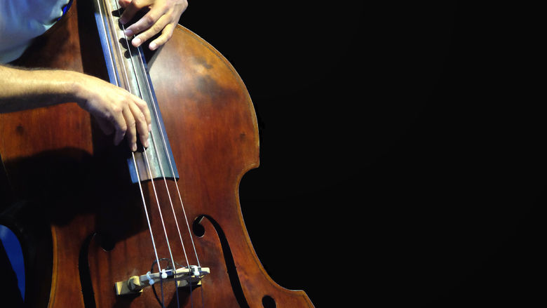 A close-up of a musician playing an upright bass