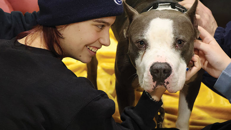 Behrend student petting a rescue dog to unwind during finals week.