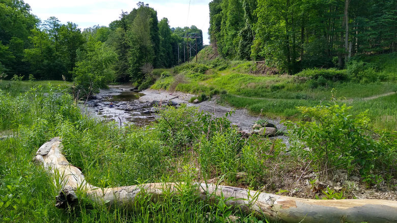 The landscape beneath the Bayfront Connector Bridge in Wintergreen Gorge.
