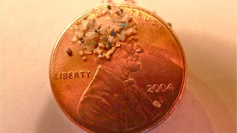 Microbeads of plastic sitting on a penny