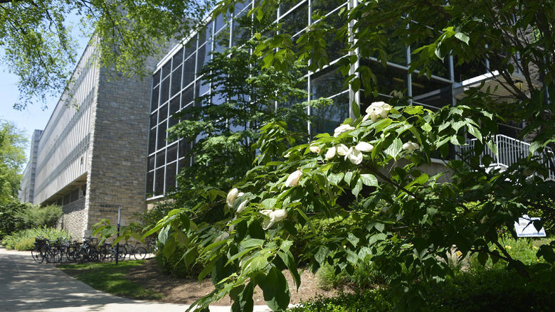 The Hammond Building and Kunkle Student Center is shown behind a bush that is in the foreground.