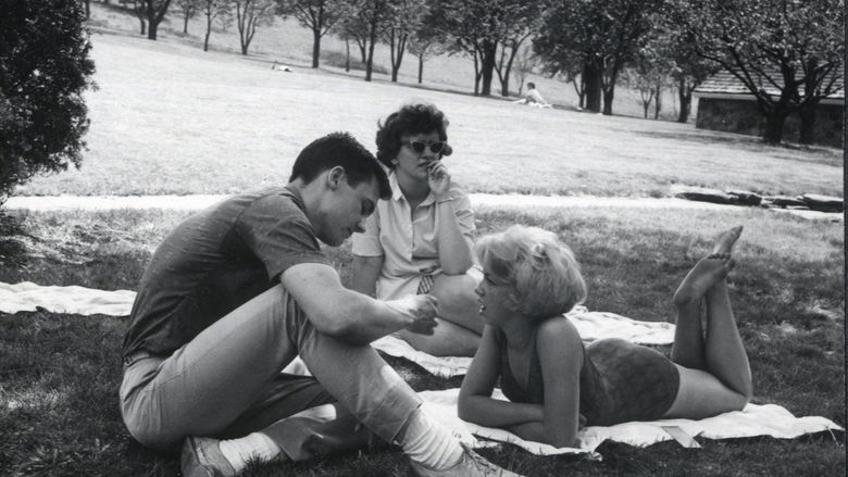 Students lounge on a lawn at Behrend Center
