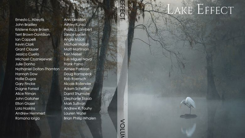 Lake Effect 2023 Cover shows white bird in misty pond surrounded by trees and list of authors and artists