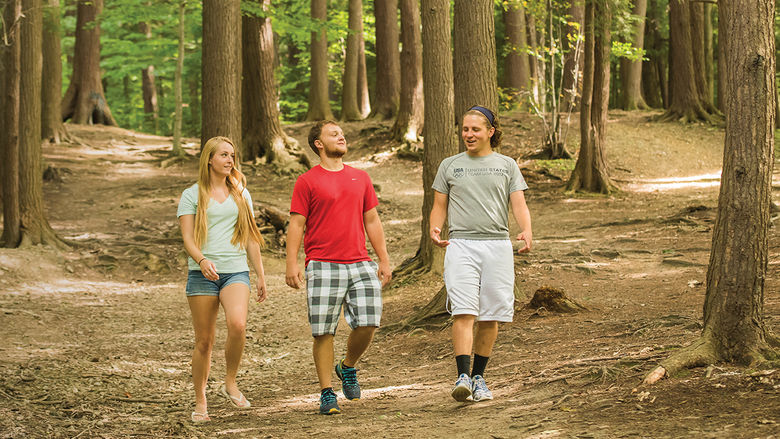 Wintergreen Gorge, located on and adjacent to the Behrend campus, has been a popular recreation destination for students and community for seventy years.