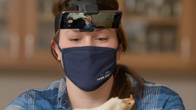 Penn State Behrend faculty member Lynne Beaty examines an animal skull.