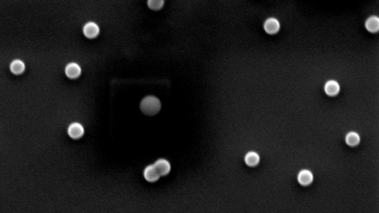 An image shows magnified plastic spheres