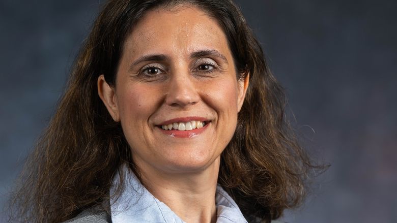 A portrait of Ozgun C. Demirag, director of the Black School of Business at Penn State Behrend.
