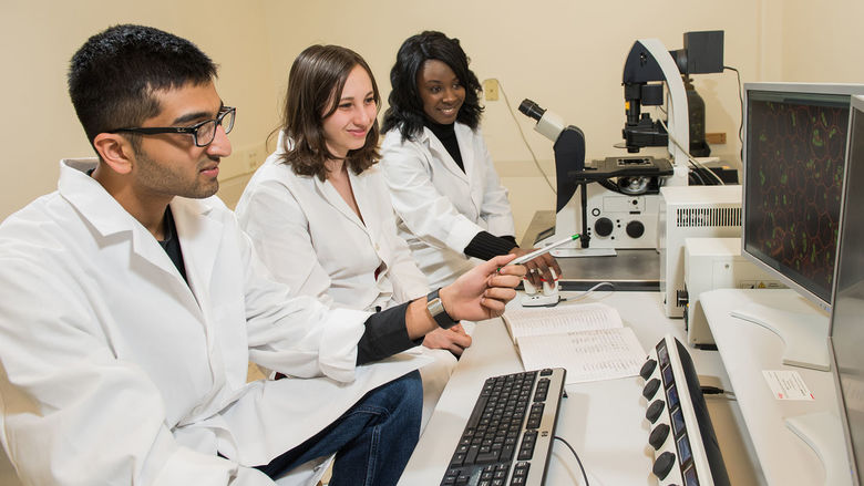Students in the School of Science work with the college’s confocal microscope.