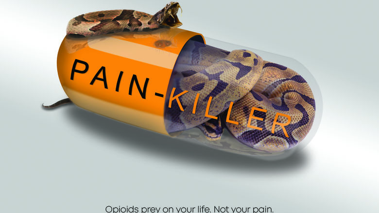 snake inside painkiller capsule ready to strike