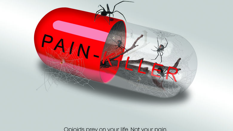 spiders infesting a pill capsule, representing the dangers of opioids