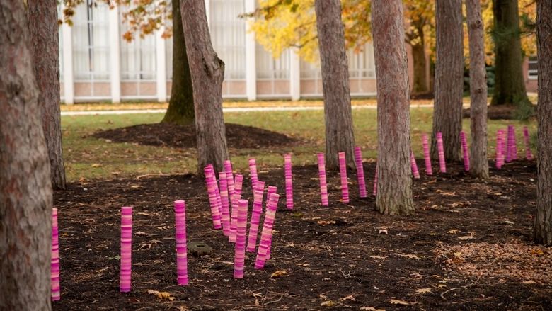 A close-up of pink and purple plastic discs stacked in a tree line at Penn State Behrend.