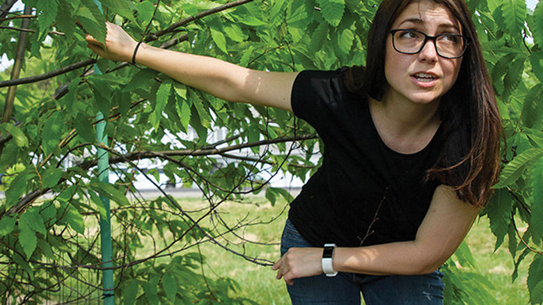 Emily Dobry isolated the genome for the fungus as part of her master thesis research in horticulture.