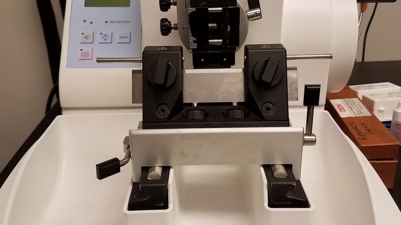 Microtome