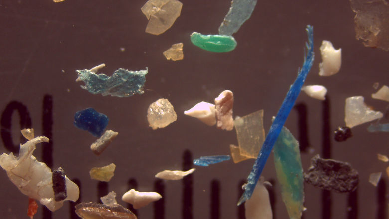 stream sample with various plastics