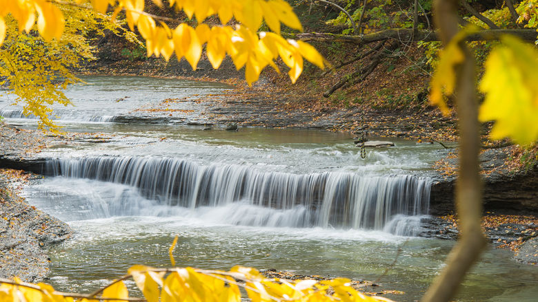 A waterfall at Wintergreen Gorge framed by yellow autumn leaves.