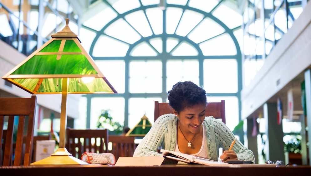 A student studies in Penn State Behrend's Lilley Library