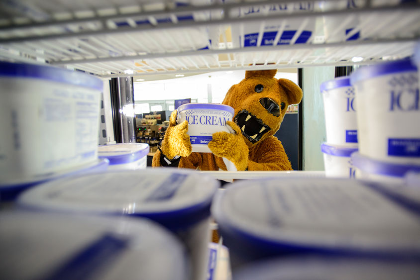 Lion in ice cream freezer