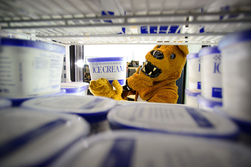 Lion in Creamery freezer