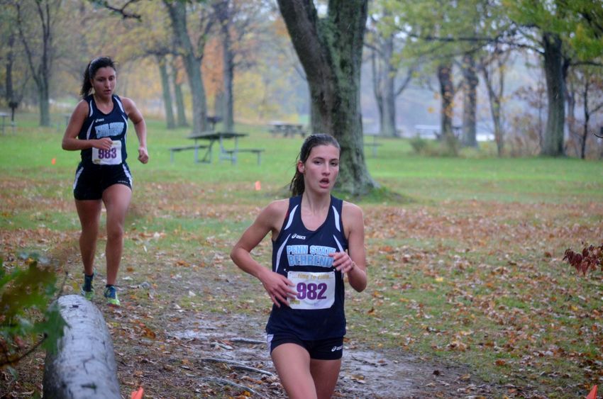 Penn State Behrend runners compete in the 2017 AMCC cross country championships.