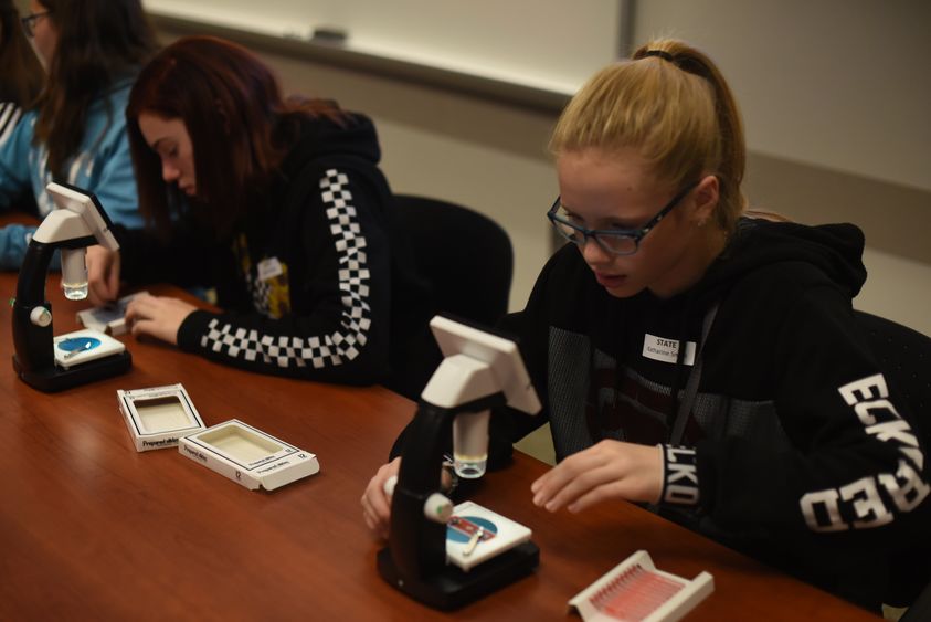 Katharine Smith, a seventh-grade student in the Youngsville School District, takes a close look at a specimen during a 21st Century Kids activity at Penn State Behrend.