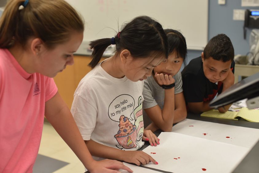 Morgan Farrell, far left, and her classmates examine red dye they recovered from a mock crime scene during Penn State Behrend's "CSI-Crime Scene Investigations" College for Kids course.