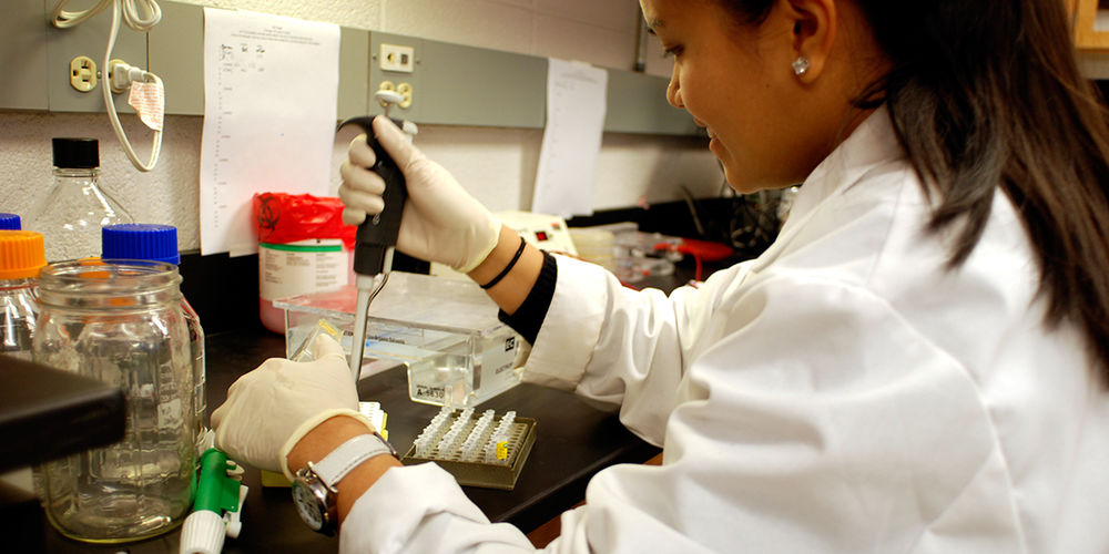 High school juniors sought for Minority College Experience (MCE) and Women in Science and Engineering (WISE) programs. High school juniors sought for Minority College Experience (MCE) and Women in Science and Engineering (WISE) programs.