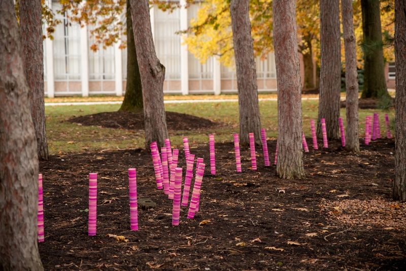 A detail shot of the "Colorwalk" arts installation at Penn State Behrend