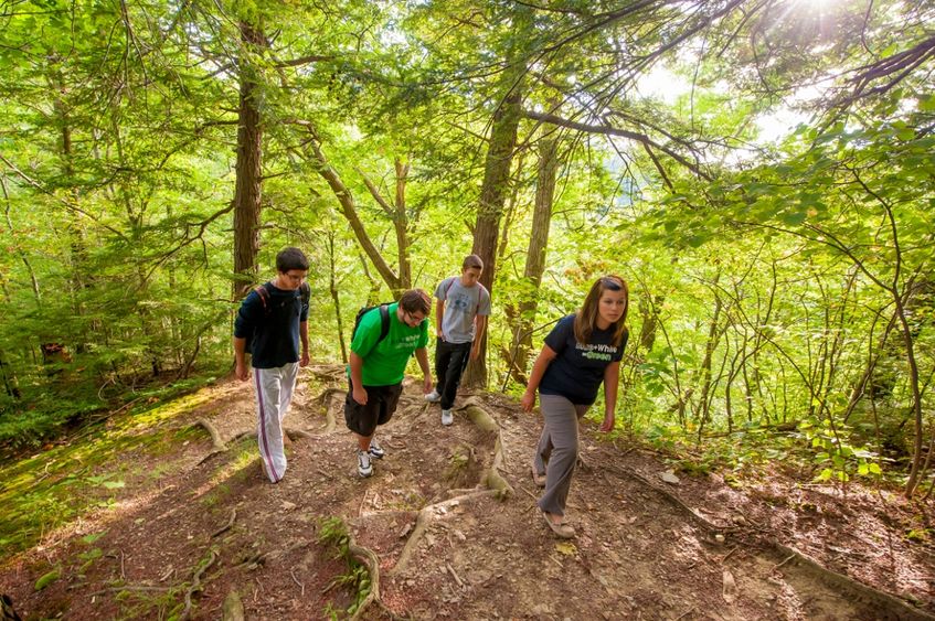 Four students walk in the woods of Wintergreen Gorge.