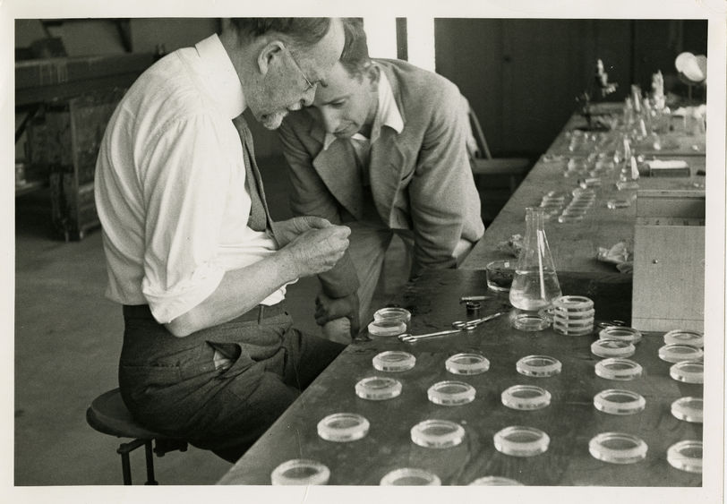 An archival photo of two scientists working with DNA.