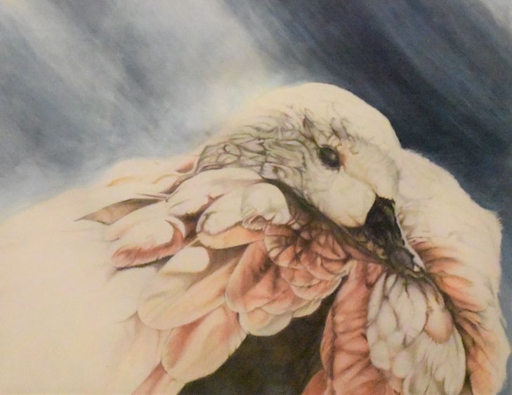 A painting of a duck, submitted to the Penn State Behrend art show.