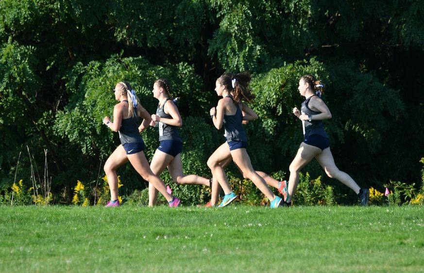 Five cross country runners advance through a course at Penn State Behrend.