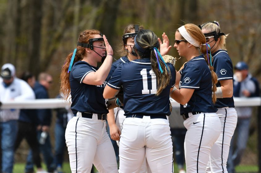 Five Penn State Behrend softball players celebrate during a game.