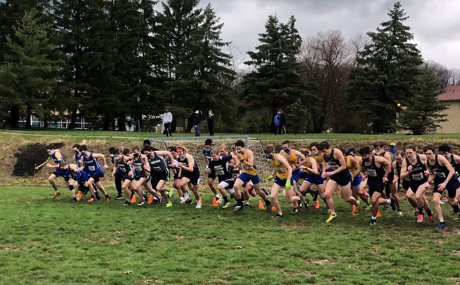 Runners begin a race at the AMCC cross country championship
