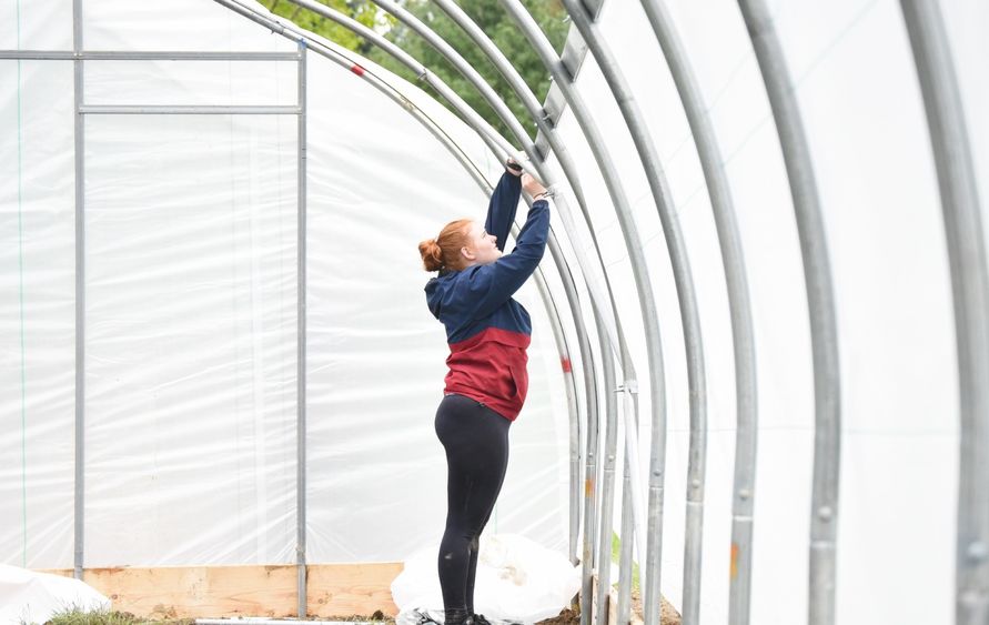 A female student reaches up while installing a section of a high tunnel growing space.