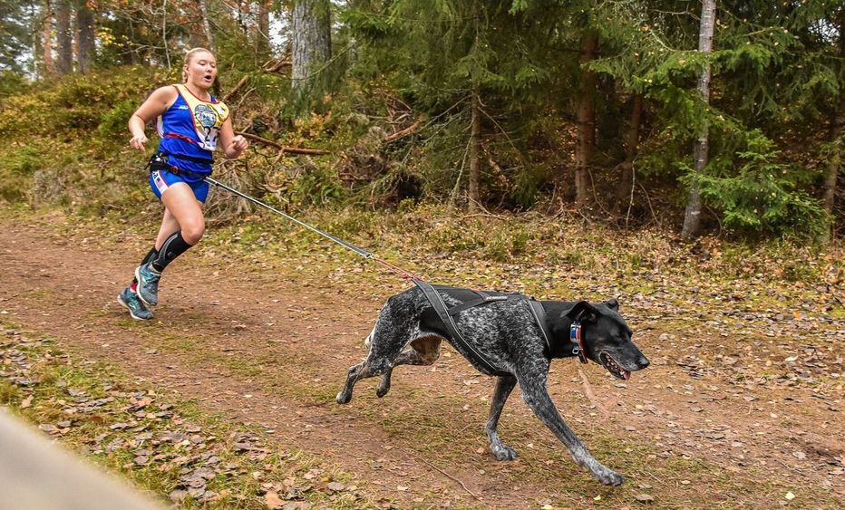 Penn State Behrend student Emily Ferrans runs in a canicross event with her dog, Marge