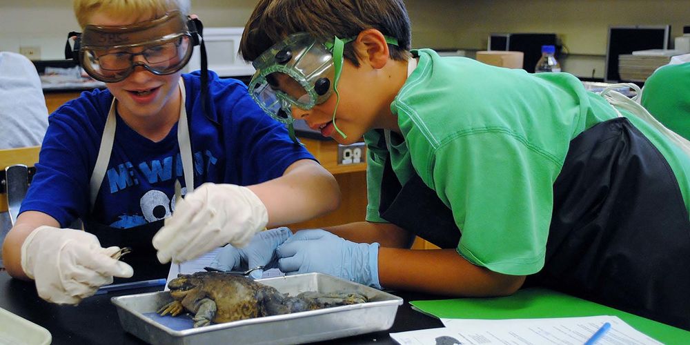 Frog-gut science inspires young biologists.