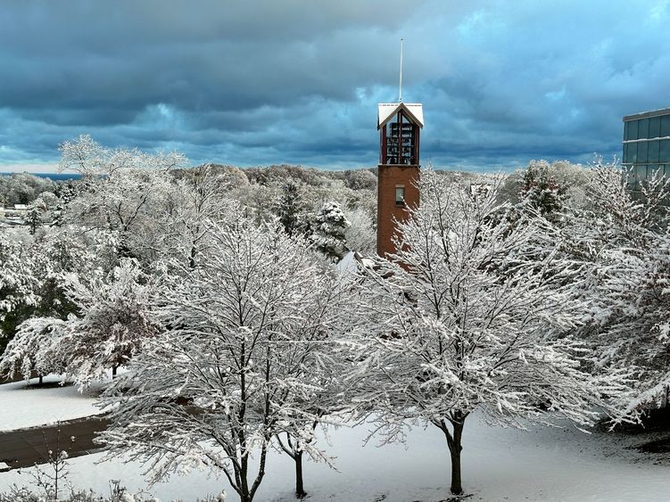 A brick bell tower stands out behind snow covered trees on a cloudy day