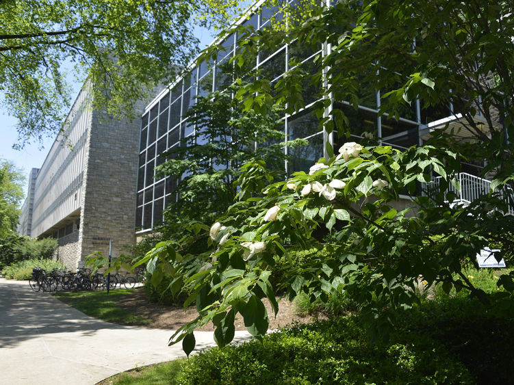 The Hammond Building and Kunkle Student Center is shown behind a bush that is in the foreground.