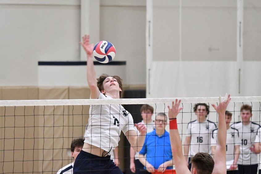 A member of the Penn State Behrend men's volleyball team spikes the ball over the net.