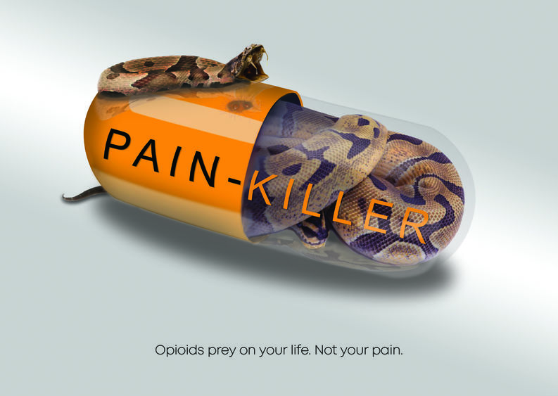 snake inside painkiller capsule ready to strike