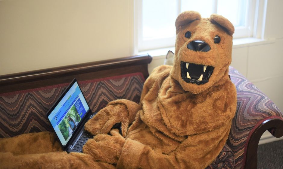 The Nittany Lion works on a laptop while reclining on a couch.