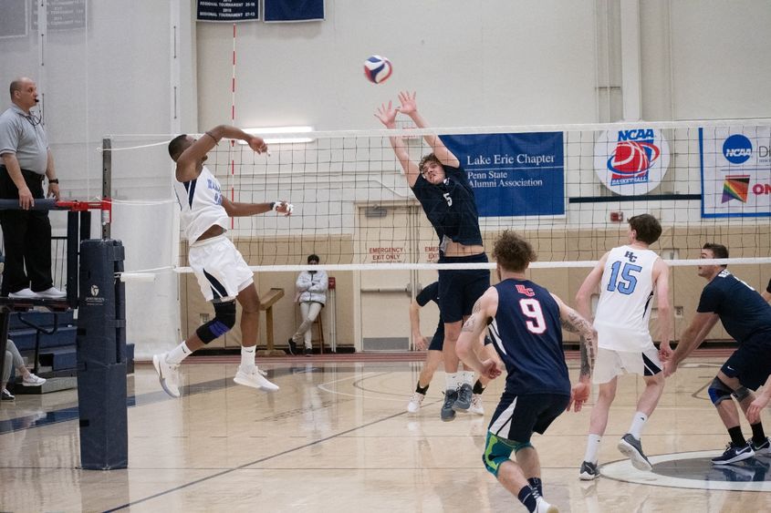 A Penn State Behrend volleyball player blocks a shot during a game.