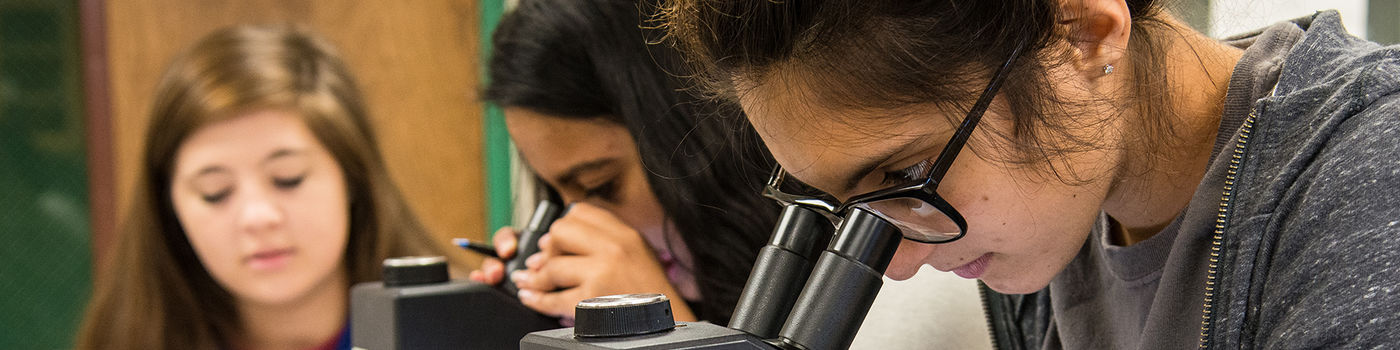 Penn State Behrend science students look into a microscope during a lab class.