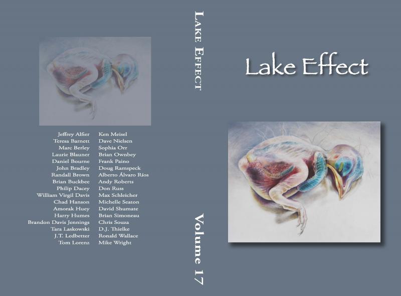 Cover of Lake Effect Spring 2013