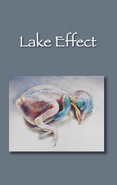 Lake Effect, Spring 2013, Volume 17, Cover Photo