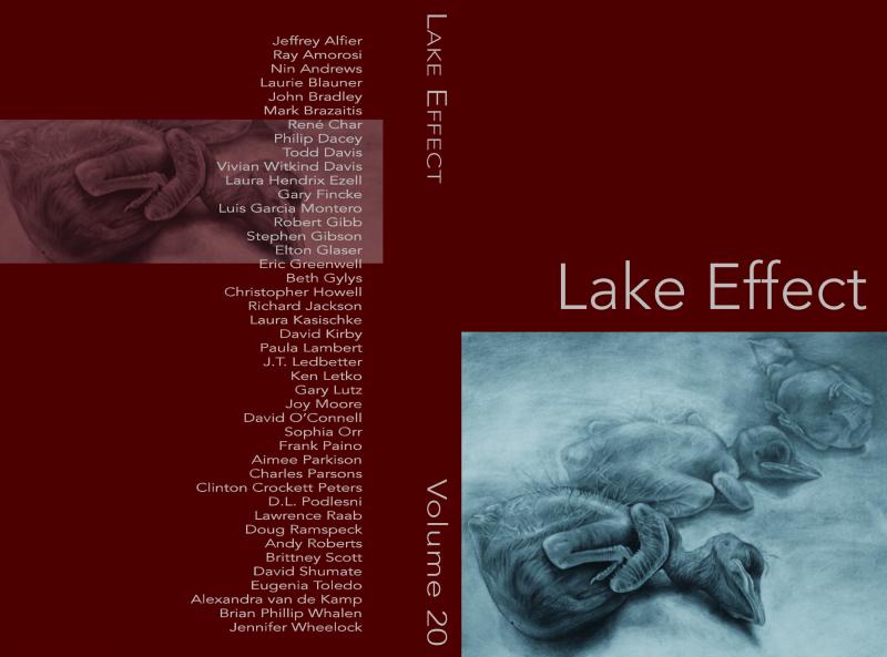 Cover of Lake Effect Vol. 20