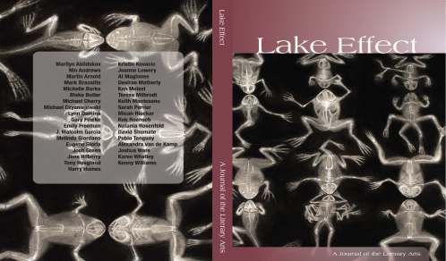 Cover of Lake Effect Spring 2009