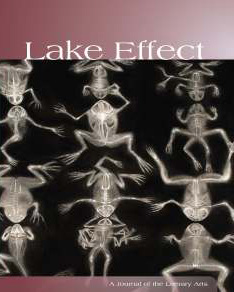 Lake Effect, Spring 2009, Volume 13, Cover Photo