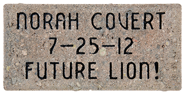 Paver Norah