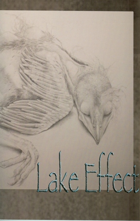 Lake Effect, Spring 2011, Volume 15, Cover Photo